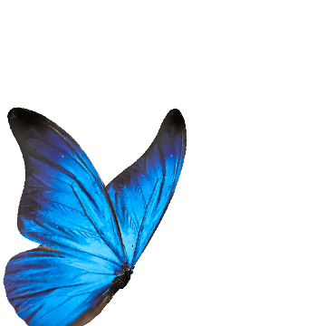 SYMPHONYVX icon