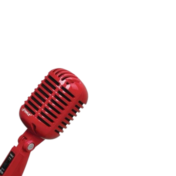 Vox icon